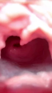 骚母狗展示超级大逼洞